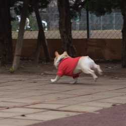 photolog_image
